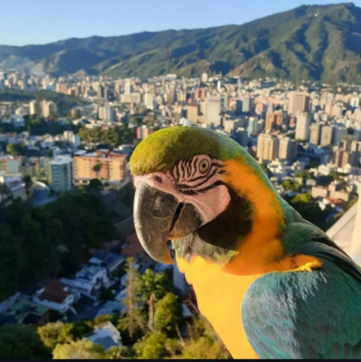 WhatsApp Image 2025-09-16 at 21.05.48 (1).jpeg